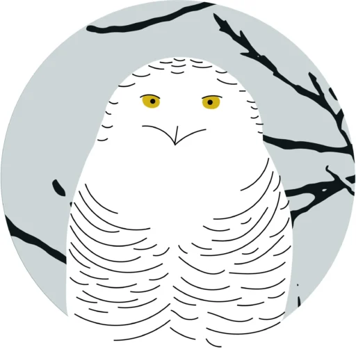 Seth Konner Photography